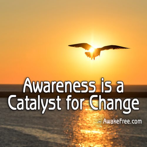 Awareness is a Catalyst for Change