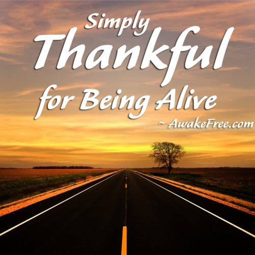 Thankful for Being Alive - A Key to Happiness