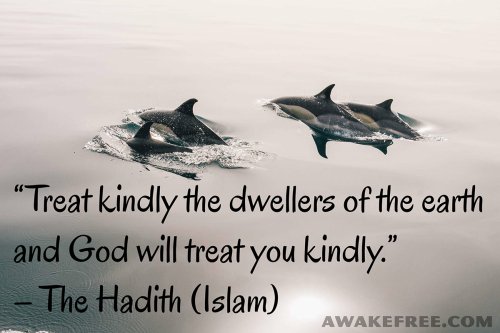 Peace-Quotes-Treat-Kindly-Dwellers-of-Earth-Hadith-Islam-AwakeFree.com